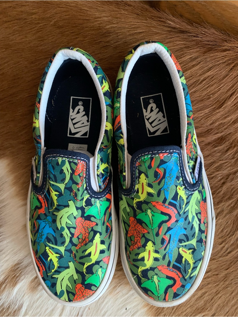 Vans Off the Wall Shark Design School Play Casual Sporty Kids/ Youth Sz 1